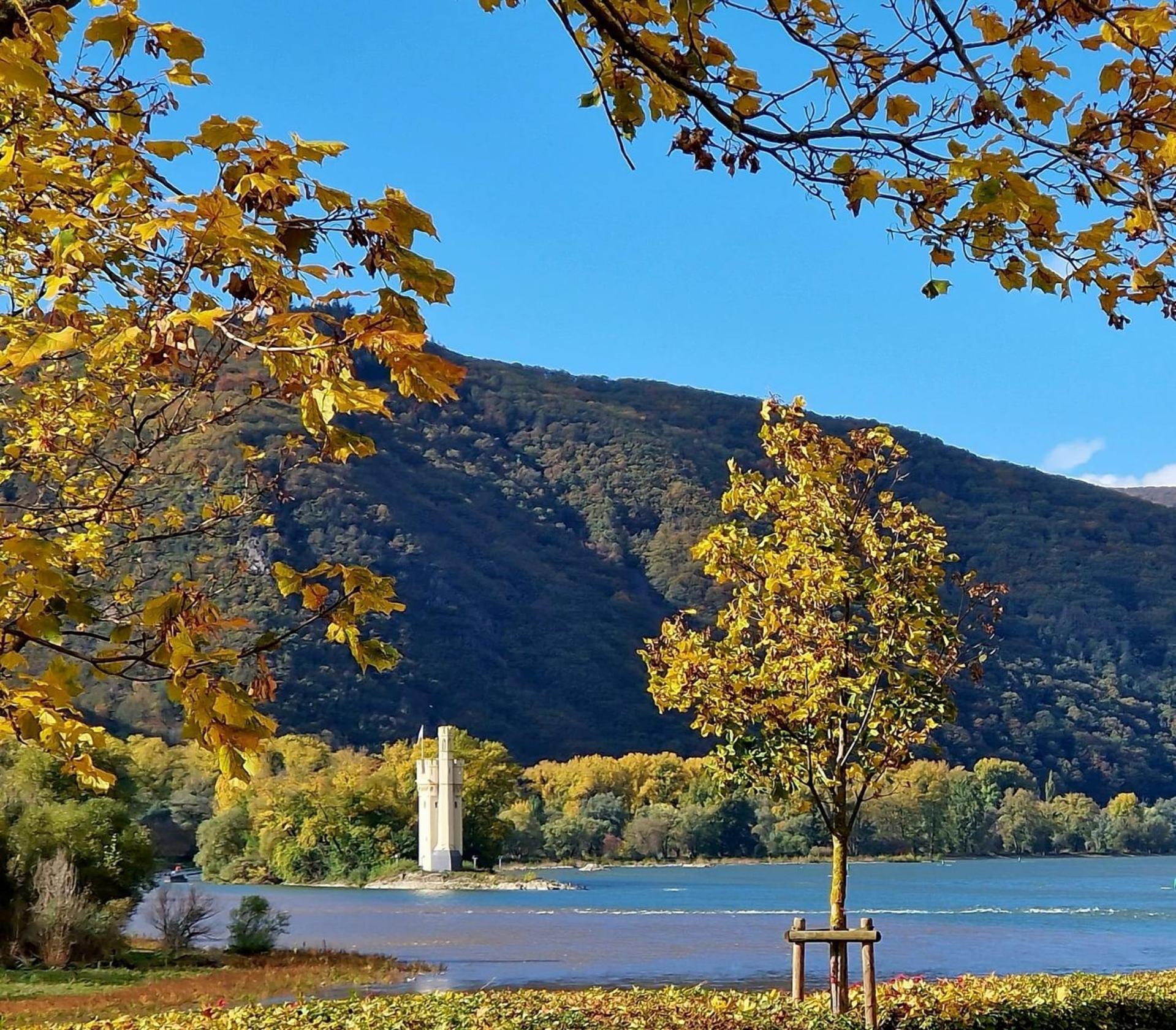 Ferienwohnung Rheinblick Бінген-ам-Райн Екстер'єр фото